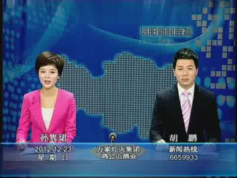 信陽(yáng)工業(yè)城：打造電子信息產(chǎn)業(yè)高地